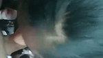 Aunty giving Blowjob to neighbour uncle