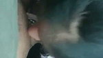 Aunty giving Blowjob to neighbour uncle