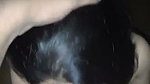 Beautiful girl giving Blowjob to lover