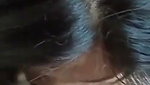 Beautiful wife give Blowjob  riding