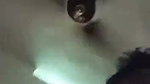 Boyfriend bang his gf hard  moan