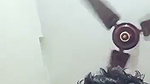 Boyfriend bang his gf hard  moan