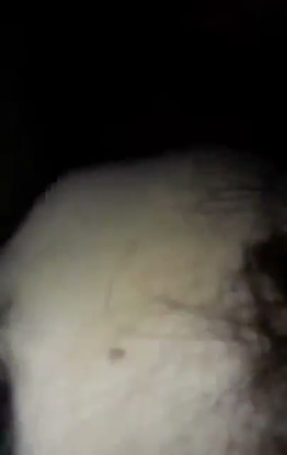 Frame 7