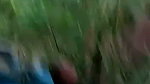 Sexy Bengali girl suck a dick in jungle