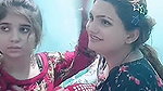 Chaha