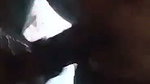 Desi couple fucking  talking dirty