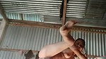 Village girl inserting brinjal  Masturbating