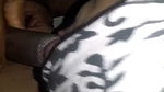 girl gives BJ