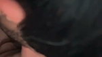 1000741124