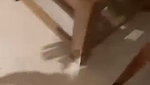 1000741069