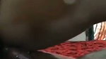 1000741066