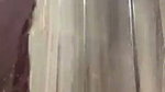 Gorgeous Sexy Indian Hot Babe Teasing Video mms