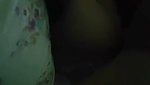 NRI Wife Sucking Dick Hard Fucking Mms Video mms