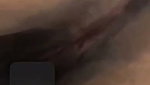 1000229806
