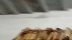 Husband fuck his wife
