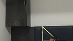 New update sexy girlfriend fucking hard in Doggy position