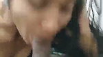 Sexy girlfriend give Blowjob  kissing bf balls