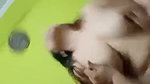 Sexy naughty girl riding hard  moan