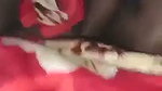 VID 20260709 WA0021