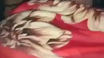 VID 20260709 WA0021