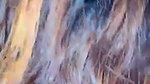 VID 20260709 WA0019