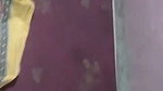 VID 20260709 WA0012