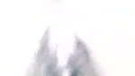 VID 20260709 WA0009