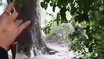 VID 20260709 WA0006