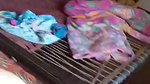 Nayi Naveli Biwi Ki Puri Chudai Ka Video