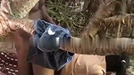 Boyfriend caught his gf fuck with another boy