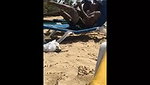 Caught 19 yo Latino flashing on a public beach in front of his friend   Videos   Spycock com