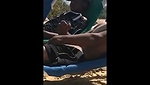 Caught 19 yo Latino flashing on a public beach in front of his friend   Videos   Spycock com
