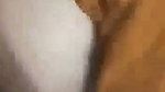 Muslim aunty fucking  enjoying