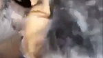 Sexy bhabhi giving Blowjob to lover