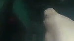 Sexy lady undress  showing