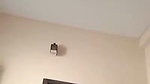 Boyfriend fuck his gf on bed