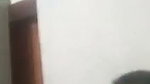 Shy bhabhi giving Blowjob to young devar