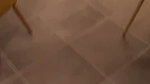 1000410889