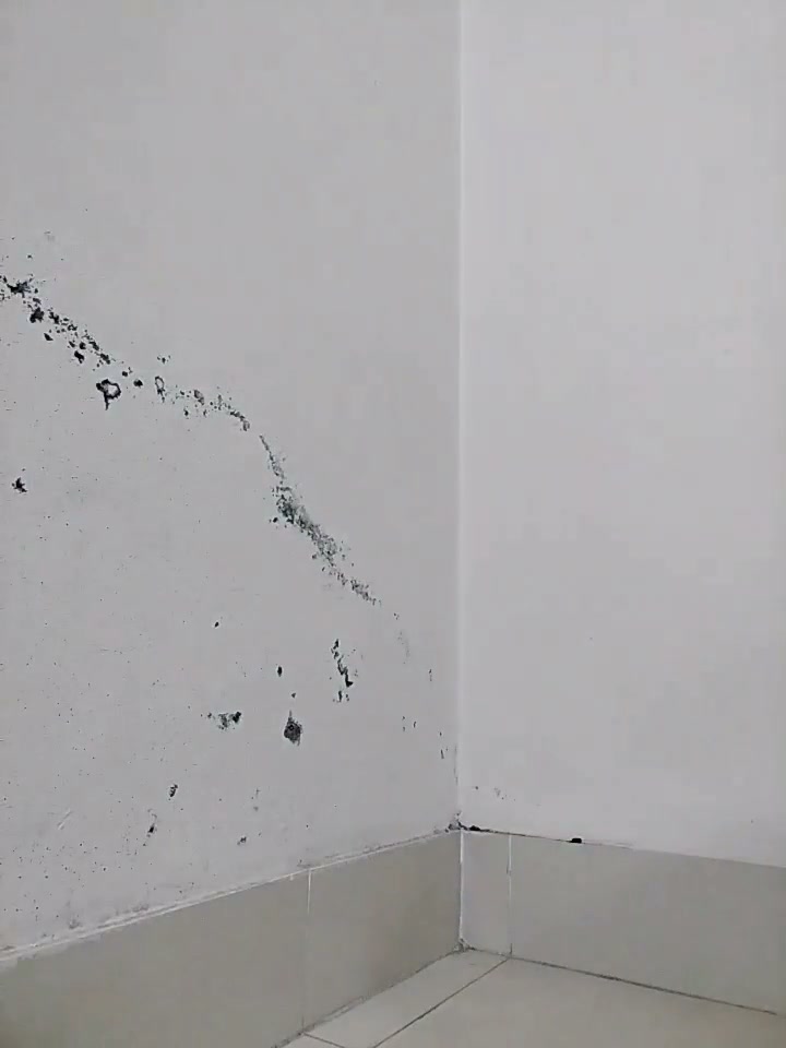 Frame 8