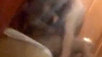 Boyfriend fucking his gf