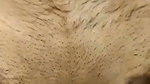 Guy drill hairy girlfriend tight pussy