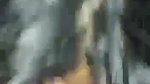 Hot girlfriend giving Blowjob  Handjob