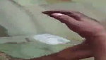 Muslim bhabhi showing  enjoying with husband