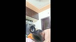 Ramula naik CI affair fucking hot