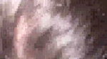 Chubby girl in lingerie fucks like a whore in xxx hard MMS