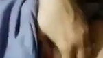 boob show to bf on vc