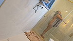 shower video