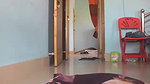 Mumu Lion Webcam Show