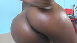 Mumu Lion Webcam Show