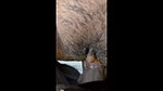 Mota Lund Daalkar GF Ko Cheekne Par Majboor Kiya